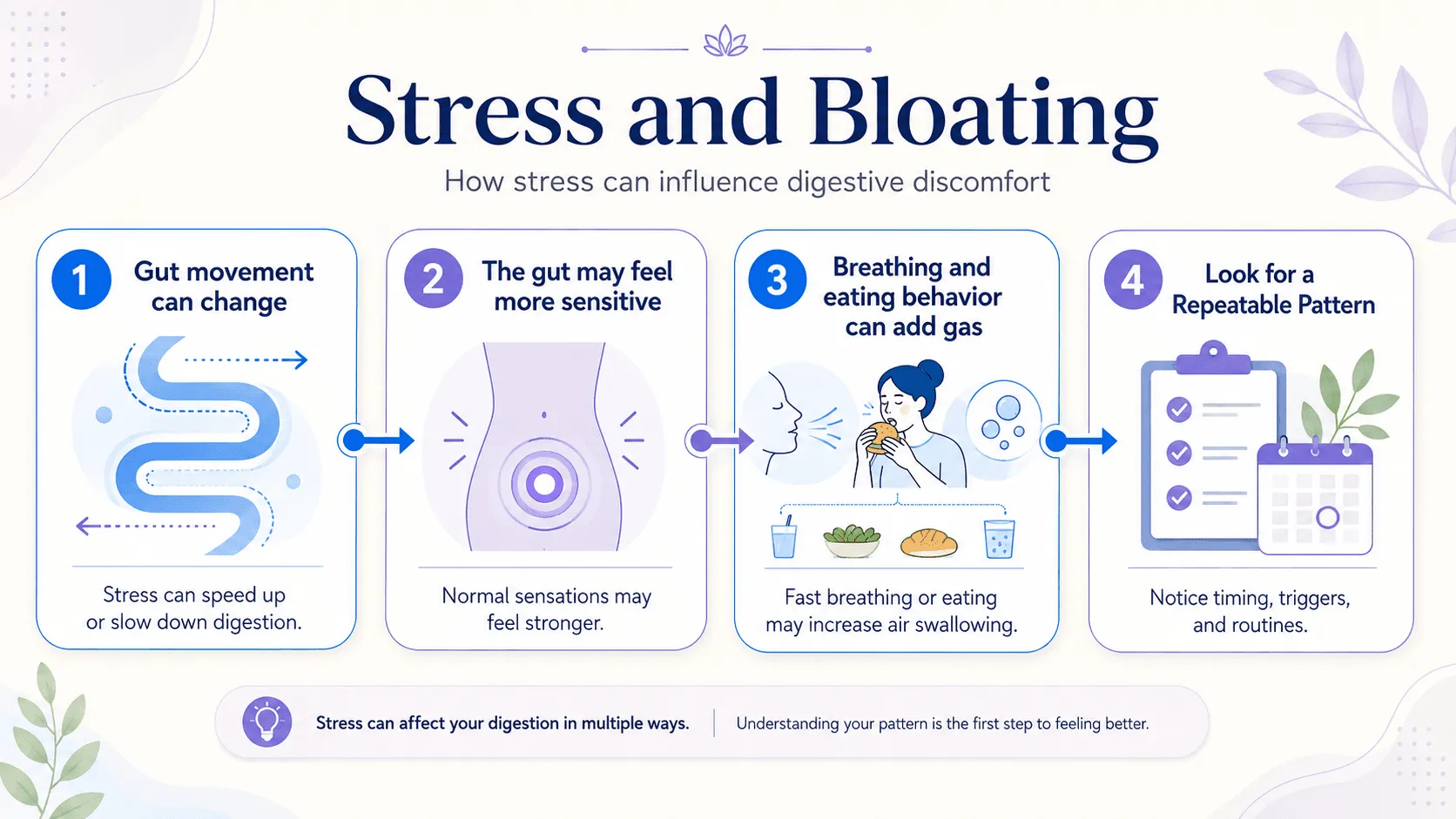 Editorial infographic explaining stress and bloating