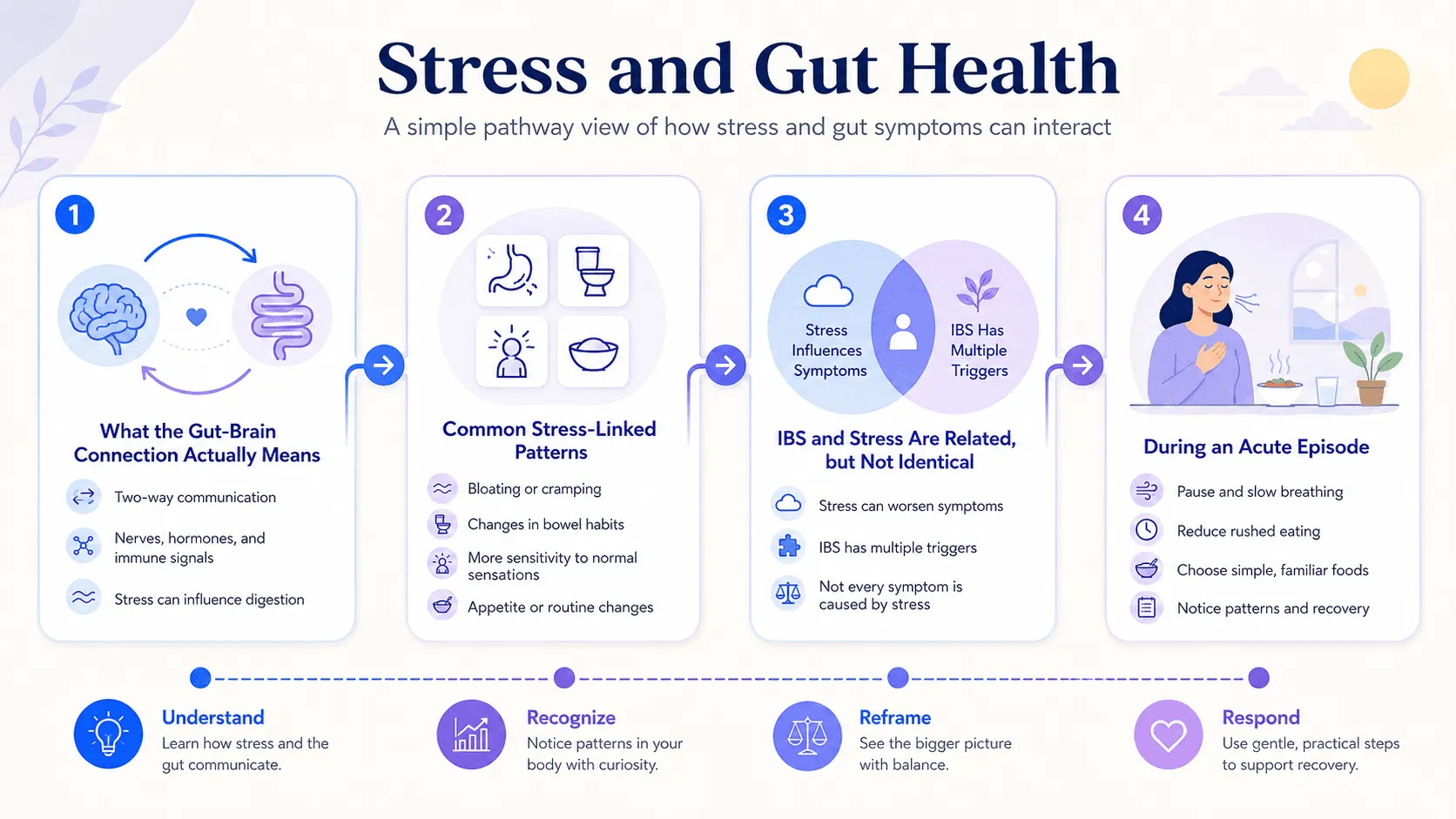 Editorial infographic explaining stress gut health